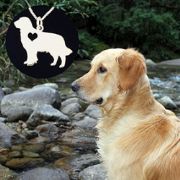 Colar pingente Golden retriever prata 925